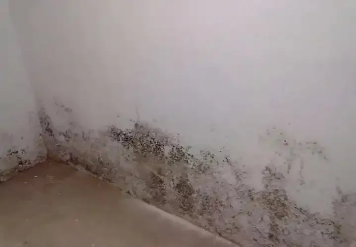 防水≠防滲！80%的人都弄錯了！