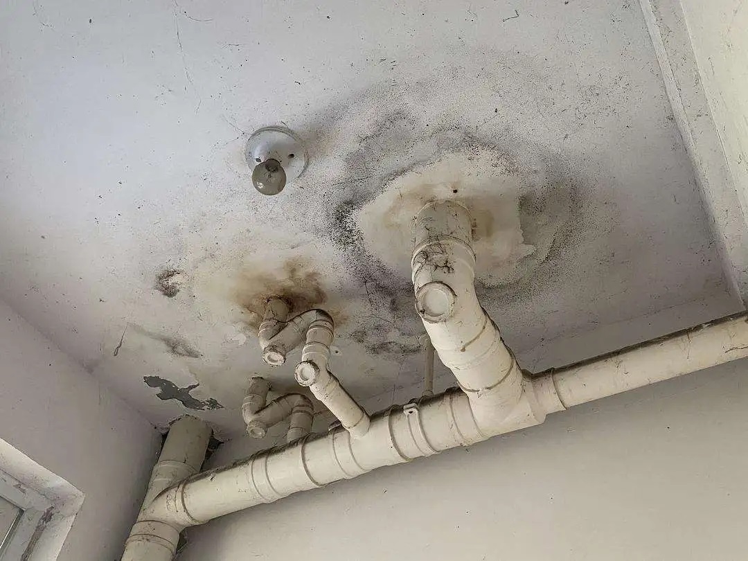 防水做了等于白做？青龍防水教你避開(kāi)施工8大坑，讓工程不再漏水！